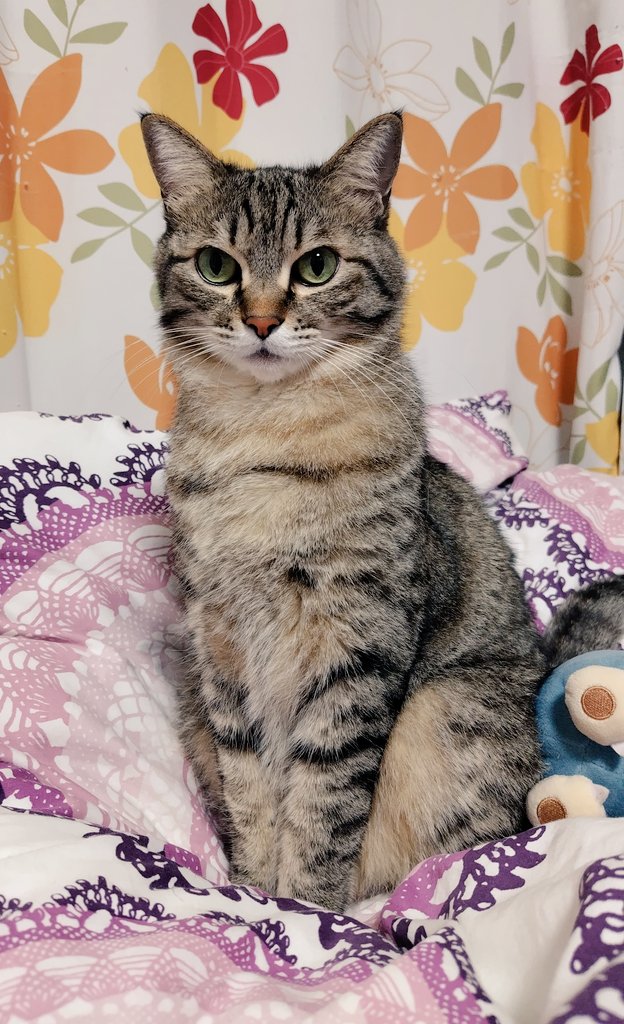 エアコンつけてくれてもいいゼッ