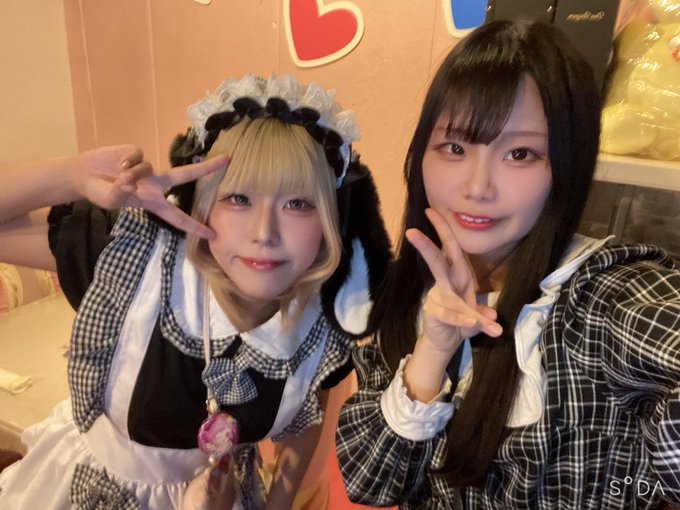 メイドカフェ ぴゅあはーとのツイート