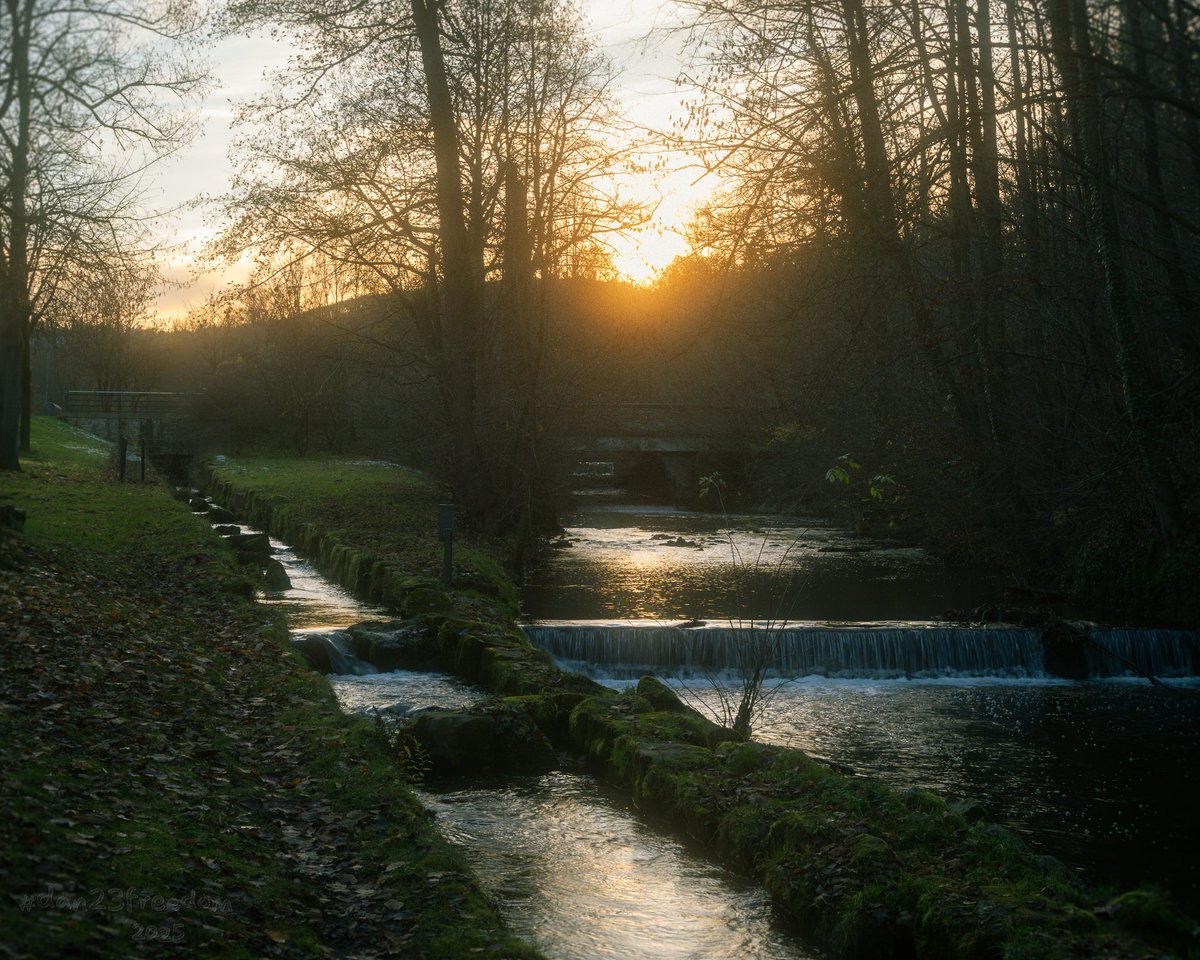 dan23freedom's tweet image. 🏷️ River’s Romantic Ribbon
·
📷 1/30 sec at f/14, ISO 800, 50 mm standard 24-50mm —👤 #dan23freedom
#️⃣ #Photography #BridgePhotography #Germany #Nature #Rural #Trees #Sunset #River #Reflections #SunsetRiver #GoldenLight #NatureRomance #AutumnStream #PeacefulNature #WaterCascades