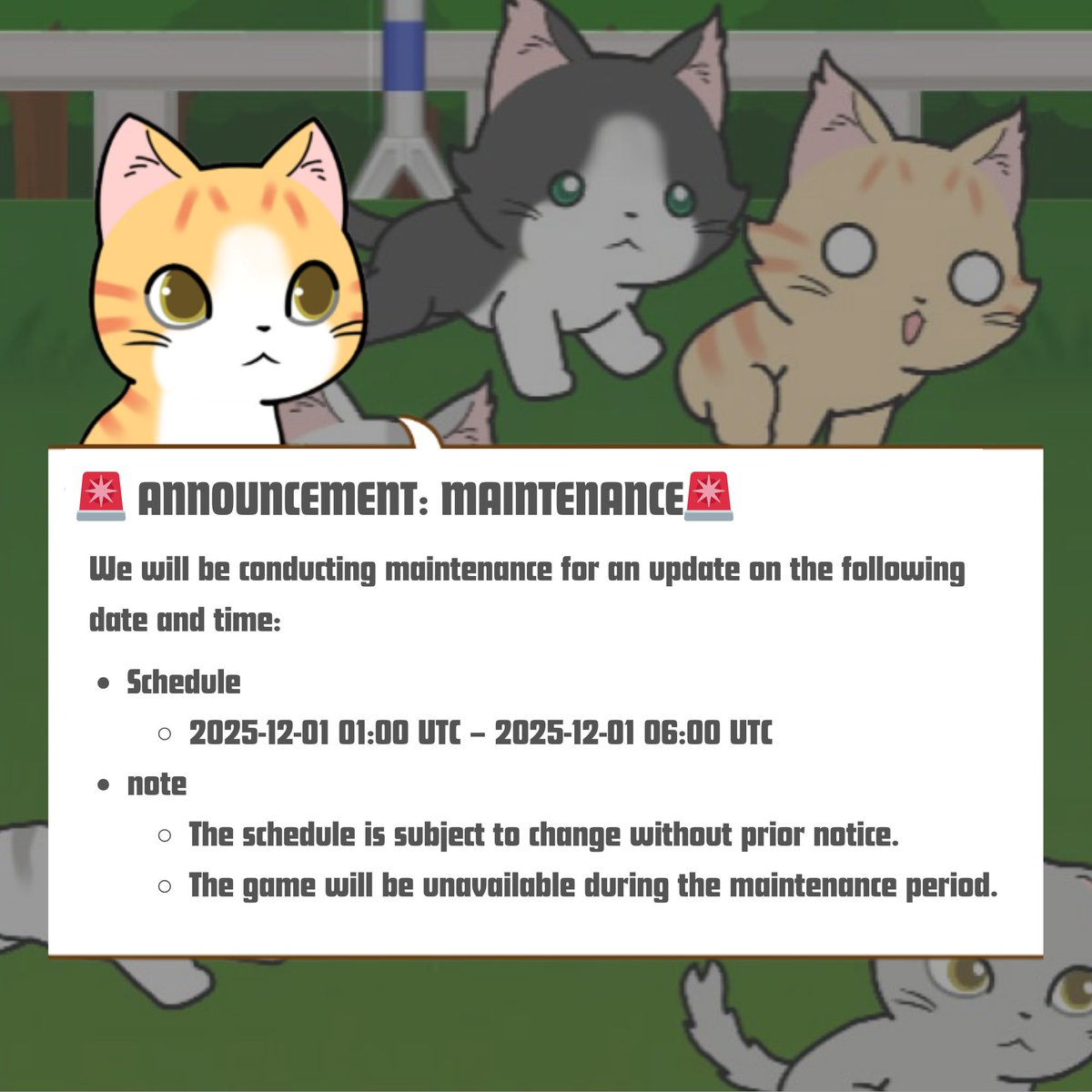 もふもふうさぎ（換毛期） (@mofuusagimofu) / Posts / X