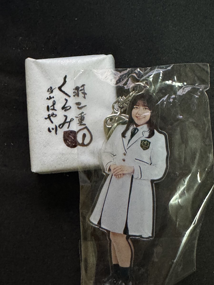 鳩ぽっぽ🕊️🐈🐈‍⬛ (@HeartPoppo_tym) / Posts / X