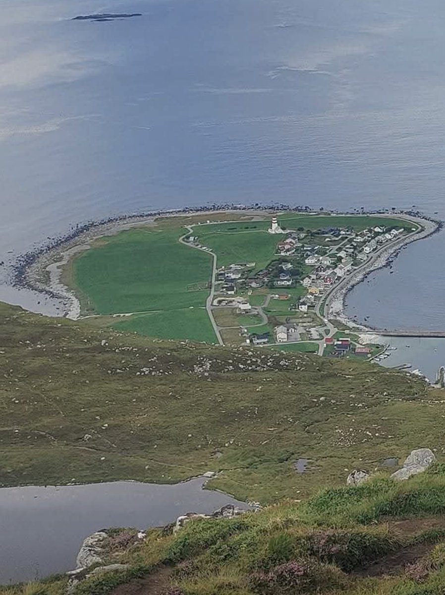 Hans Petter Alnes tweet media