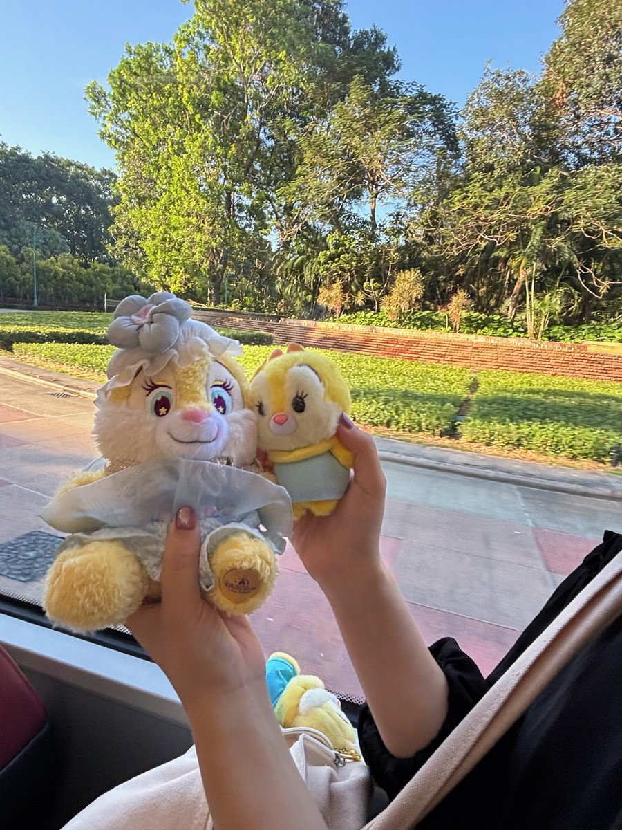 clarice032142's tweet image. 先週の旅行のお供たち
フラッフィーはお留守番🥲
ロッジに同じ子いてびっくり😳上海の子じゃなかったの！？