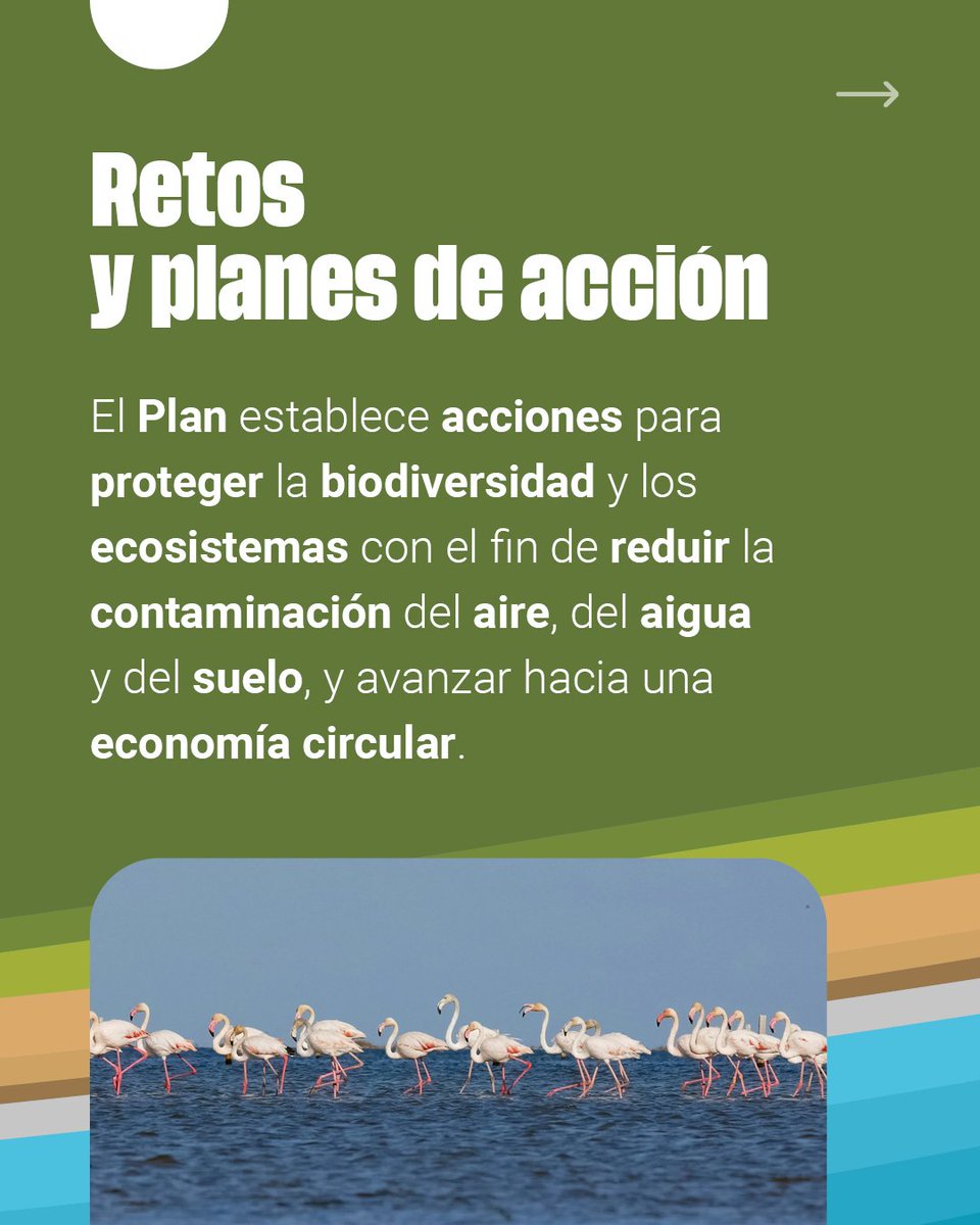 bioresilmed's tweet image. 🟢#BIORESILMED desarrolla soluciones para el cambio climático en el Mediterráneo    

🍃Protege biodiversidad, reduce contaminación y crea créditos de carbono para cultivos mediterráneos.   Innovación para una bioeconomía sostenible

👉bioresilmed.es