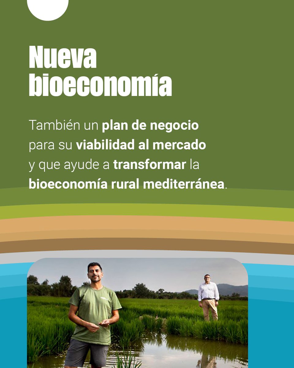 bioresilmed's tweet image. 🟢#BIORESILMED desarrolla soluciones para el cambio climático en el Mediterráneo    

🍃Protege biodiversidad, reduce contaminación y crea créditos de carbono para cultivos mediterráneos.   Innovación para una bioeconomía sostenible

👉bioresilmed.es