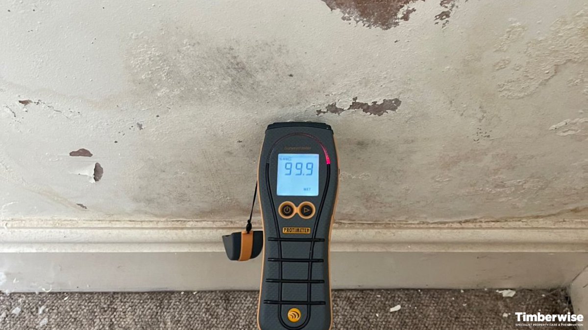 Don’t just paint over damp walls. Paint might hide the problem temporarily, but it won’t fix it. Moisture will keep causing peeling, flaking &amp; stains.

Get the source of the damp professionally checked and fixed. Book a damp &amp; timber survey: timberwise.co.uk/request-a-surv…