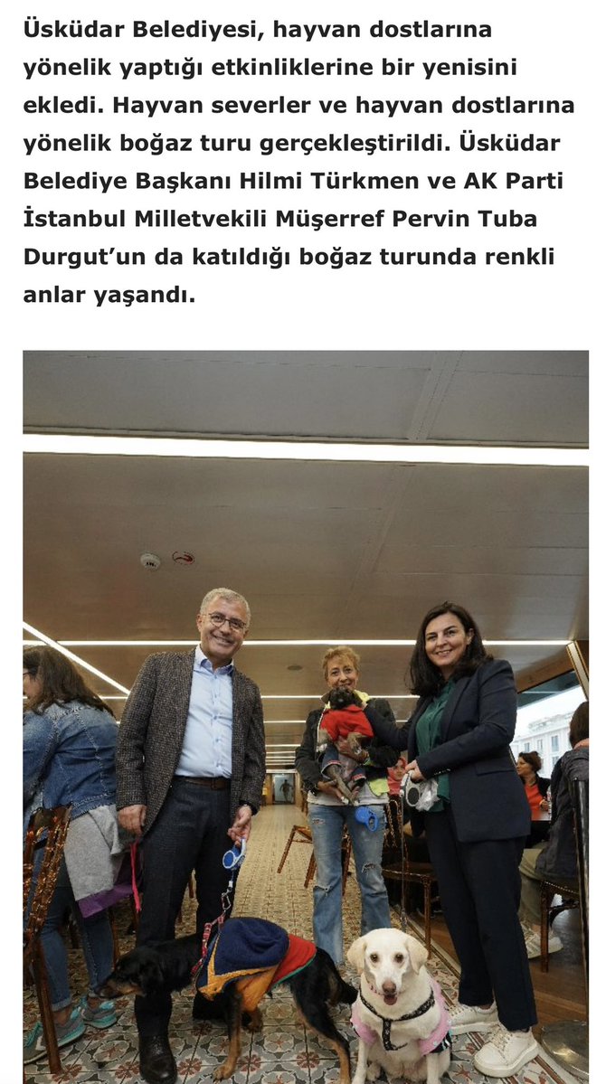 NiluferSabuncu's tweet image. 