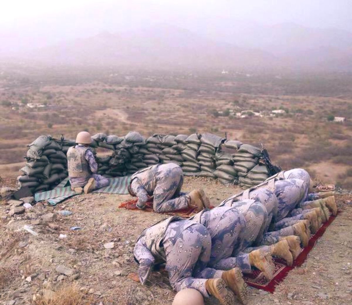 قس بن ساعدة tweet media