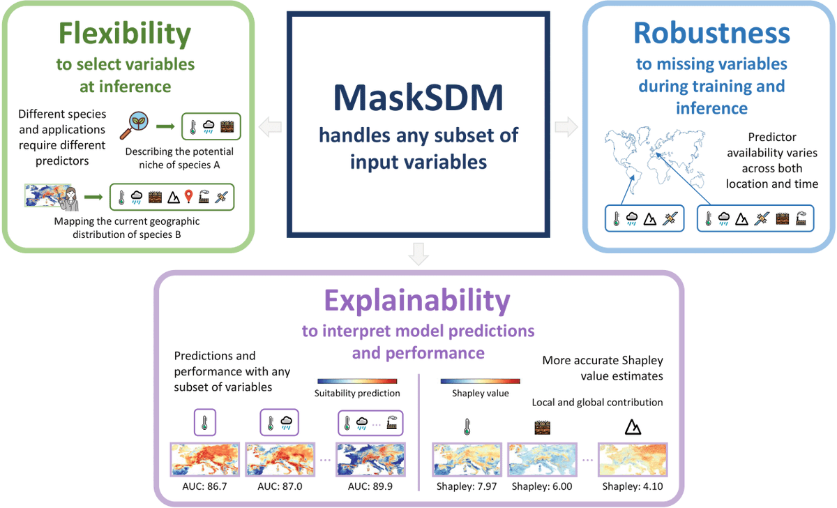 Robin Zbinden tweet media