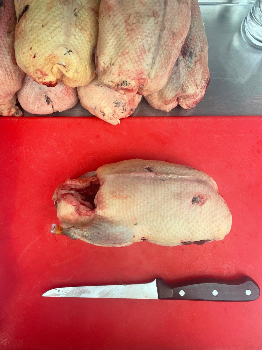 CafeStHonore's tweet image. Restaurant life: mallards from @johnny_burnside, Neil's flowers, plaice from Lowries, lamb faggots for our Cafe Classics menu.