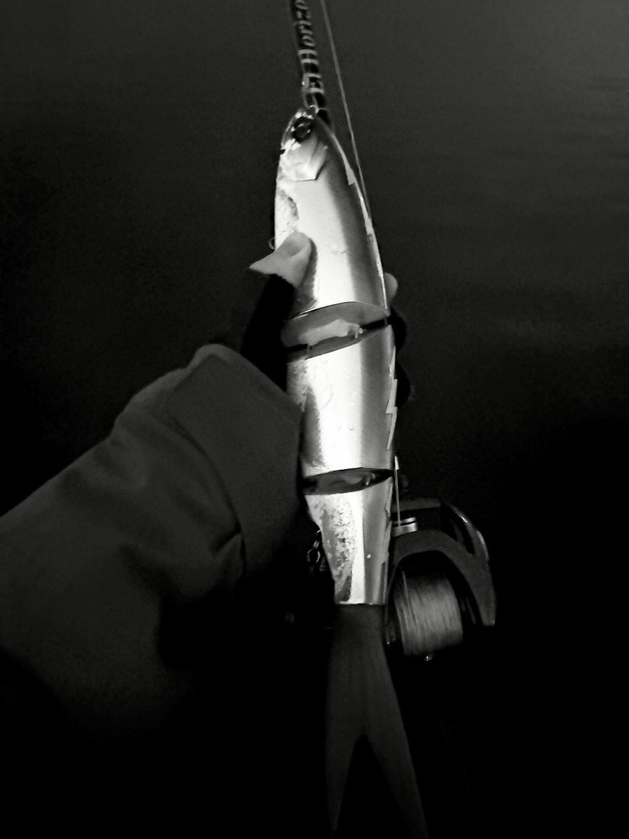 秋のお祭りがあると聞きまして札幌から参りましたが、会場はどちらでしょうか？
#もう渋すぎて笑うしかない