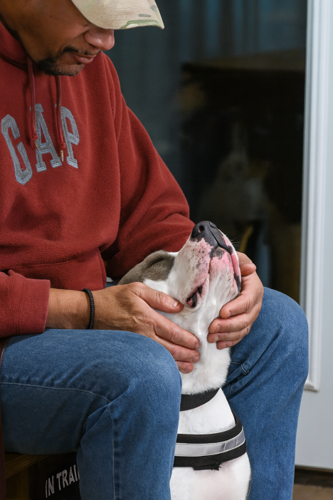 84DogsHelp's tweet image. Service dogs give veterans steady companionship, calmer days, and renewed purpose. Read real stories of courage and recovery: workingdogsforvets.org/workingdogsfor… #VeteransSupport