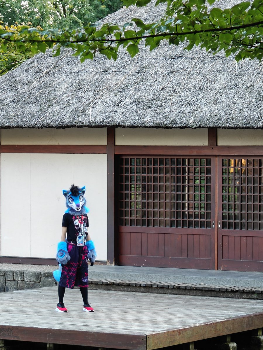 You may have seen this wandering fox around ✨

Happy #FursuitFriday &amp; Zootopia 2 premiere everyone💙
🪡 : <a href="/LilacDreamST/">LilacDreamsStudio 🔜NFC26</a> 
📸: <a href="/NascaEs/">Nasca🔜NFC!!!</a> at #Eurofurence