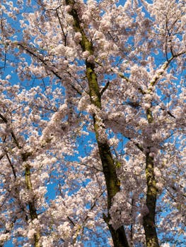 デート断られた