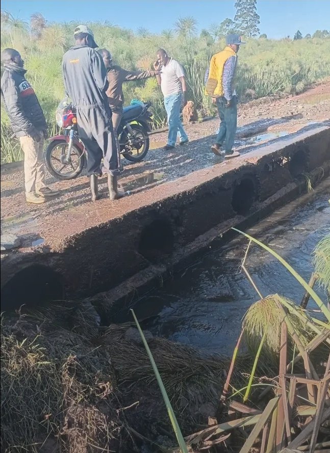 TimooLagat3's tweet photo. TALAEK
NANDI County 
Chesumei subcounty 
Kapsisiywa location 
Sironoi(birei bridge)
Date:27/11/2025
Incident report 
At around 17hrs water that had flooded the above bridge has mysterious disappeared and the bridge has dried as if there's been no rain for years,the incident has.. https://t.co/chQwg4B3sG