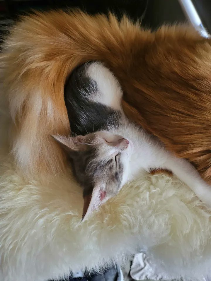 Colourhex tweet media