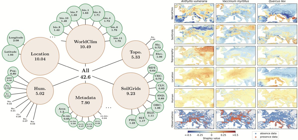 Robin Zbinden tweet media