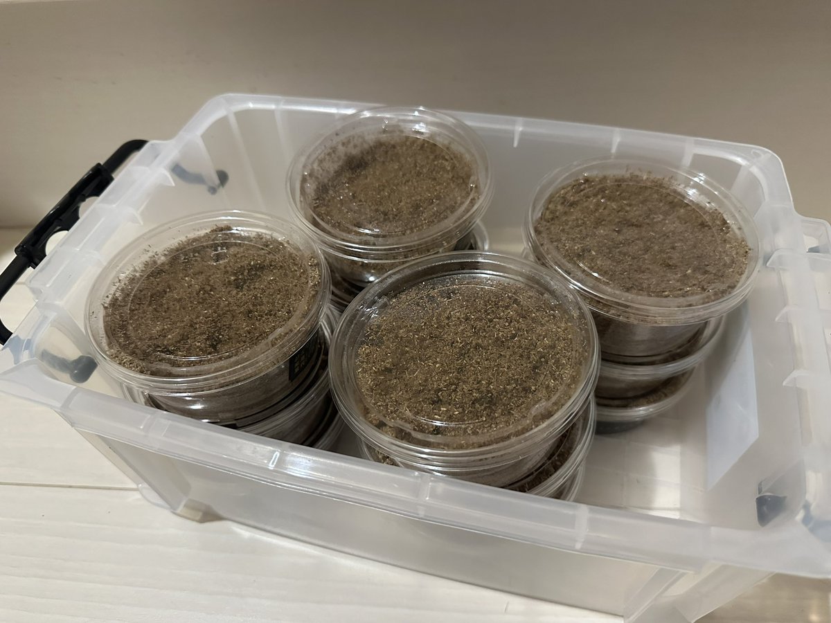 💡LIGHT💡 (@LIGHT50307986) / Posts / X