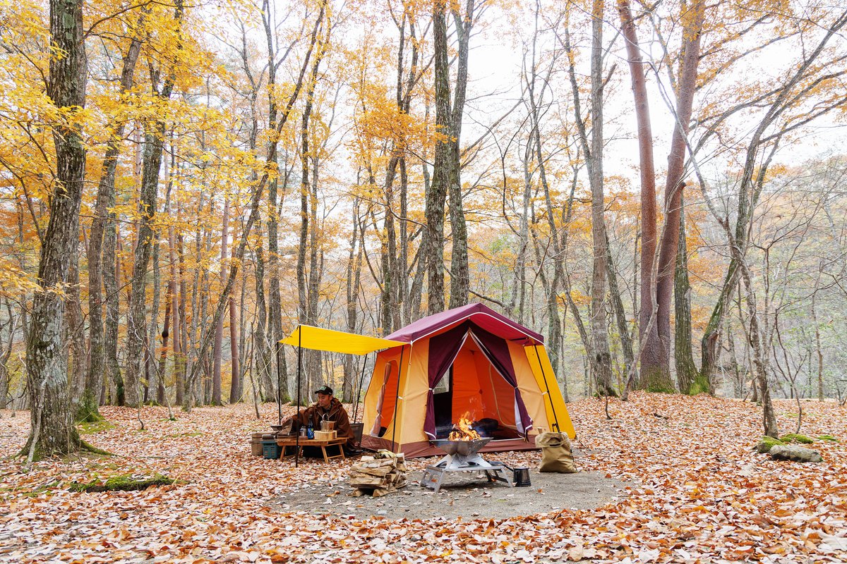 テンマクデザイン【公式】 (@tentMarkDESIGNS) / Posts / X