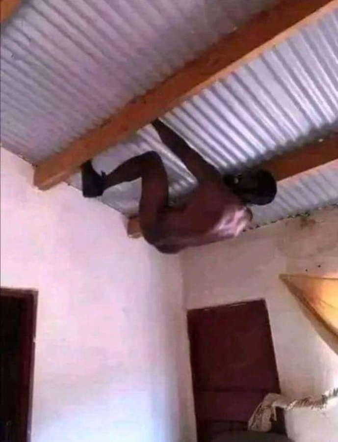 Audio na video tweet media