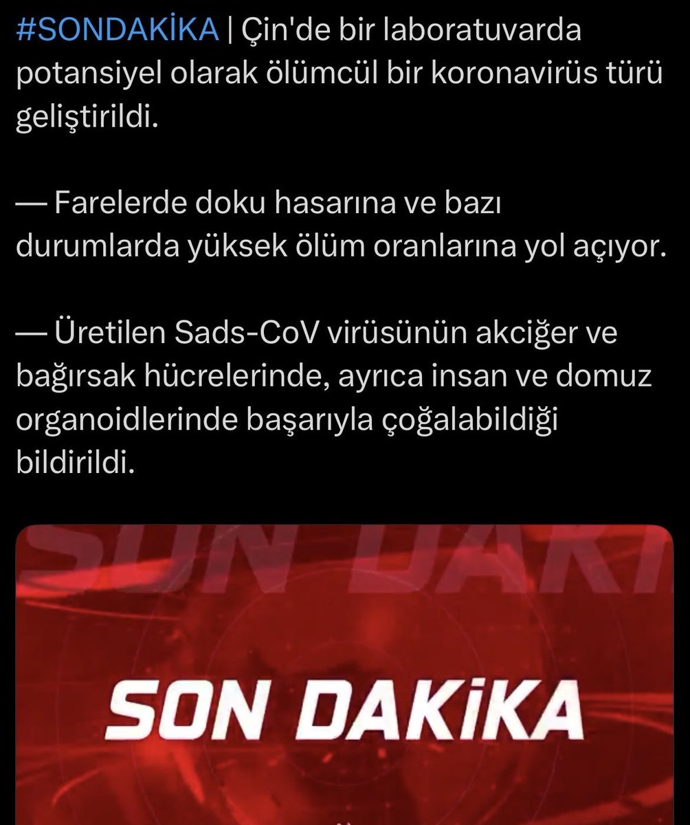 “Çin'de bir laboratuvarda potansiyel olarak ölümcül bir koronavirüs türü geliştirildi.” haberleri yine sosyal medyada dolanıyor. İşin doğrusunu açıklayayım:
👉2002 SARS koronavirüs salgınından sonra bir gün olası bir koronavirüs pandemisi tehditi yüzünden koronavirüs