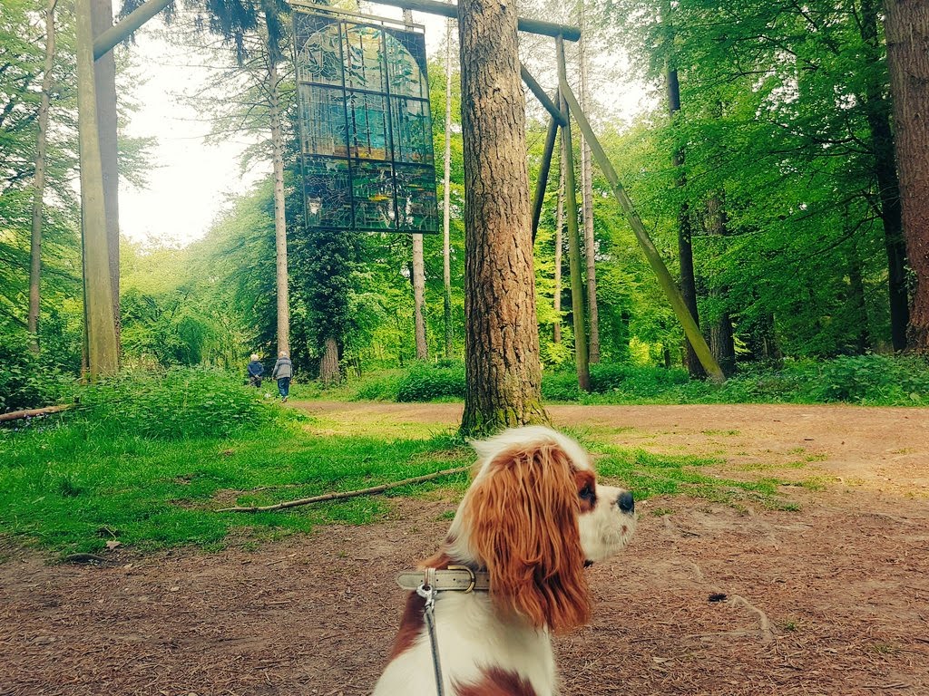 The county of Gloucestershire has many options for places to visit, including towns and villages. This includes visiting places in the #ForestofDean and the #Cotswolds.

rjontour.com/gloucestershir… #traveltribe