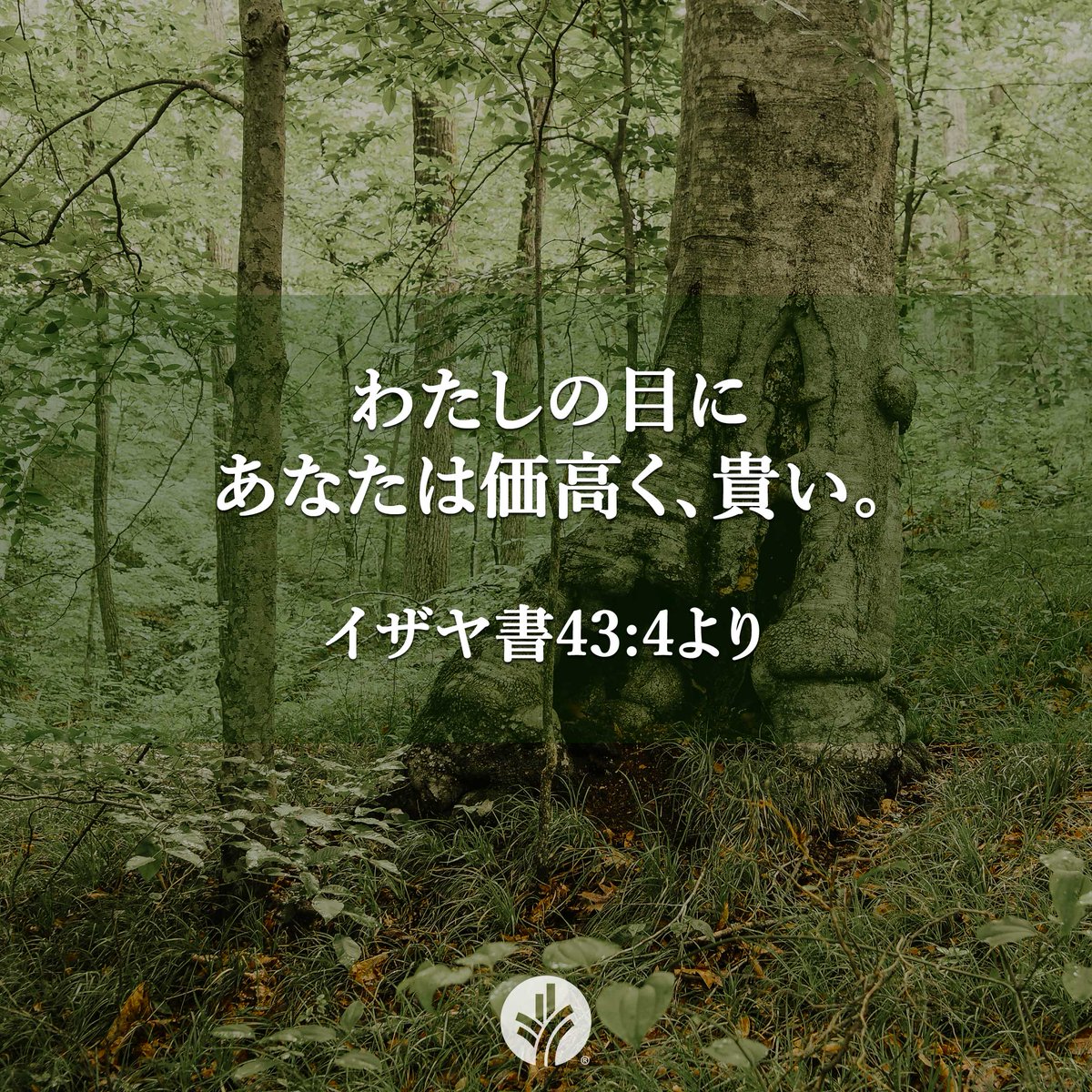 デイリーブレッド (@daily_bread_j) / Posts / X