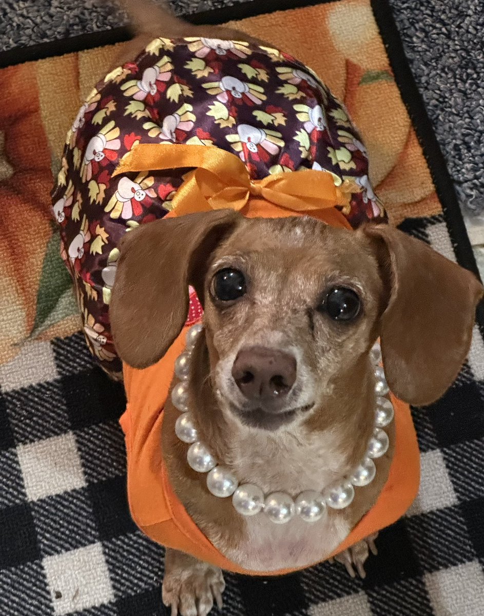 TissyTarnoon's tweet photo. #Thanksgiving https://t.co/ru6CPReFed