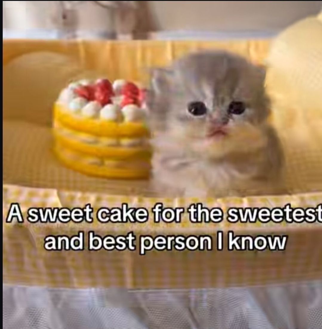 ShootaCat's tweet image. 