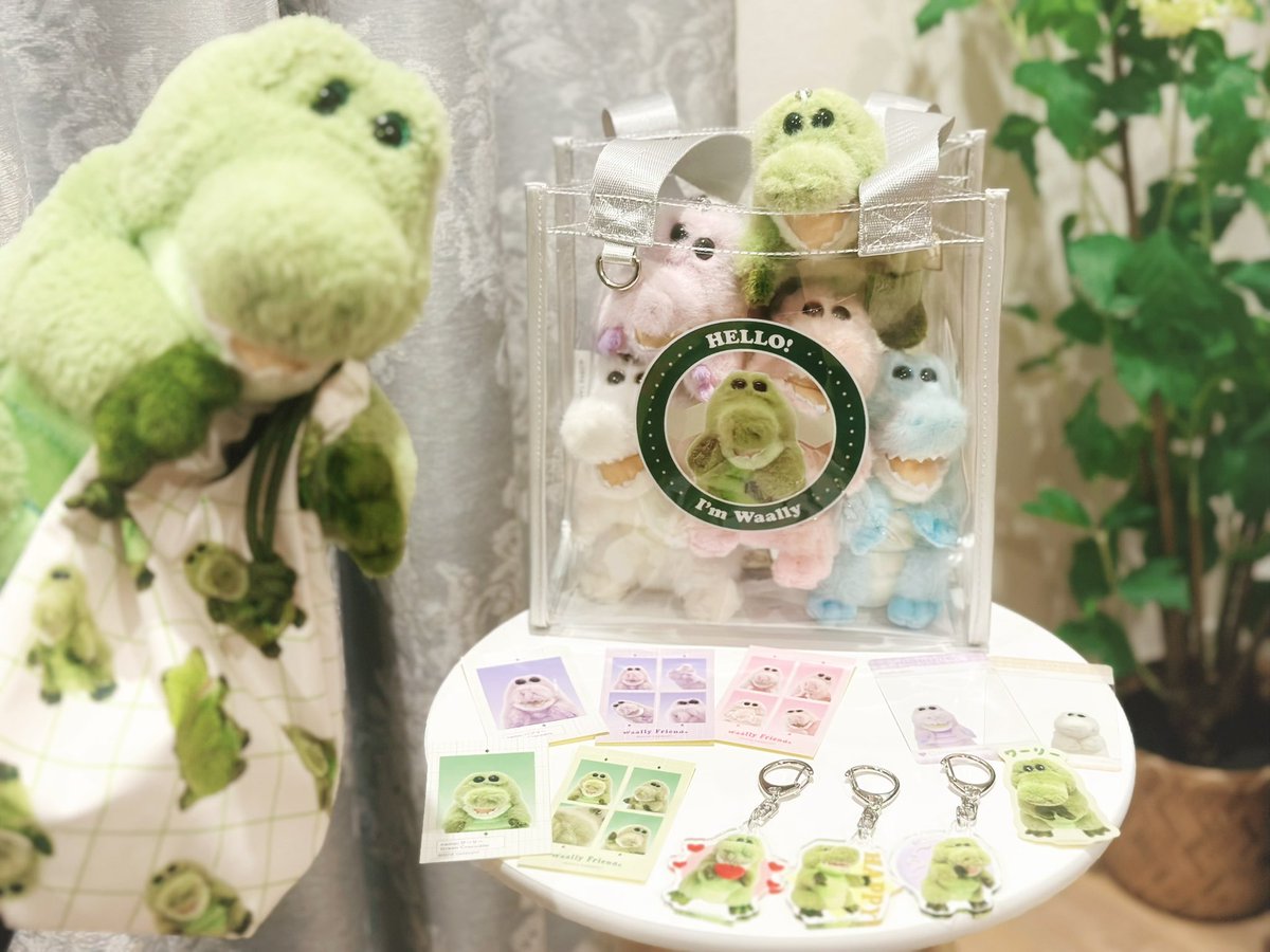 go_go_TRIGGER's tweet image. 仕事爆速で終わらせて買いに行ってきた🐊かわいすぎるт  ̫ тまたちょこちょこ買い足そう😭💚
〜クリアバッグに着いてくる巾着をアピールするうちの子を添えて〜

 #ワーリー  #ワーリーフレンズ  #うちのワーリー