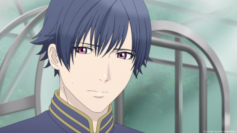 TVアニメ「Opus.COLORs」 tweet media