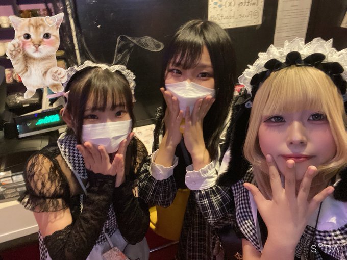 メイドカフェ ぴゅあはーとのツイート