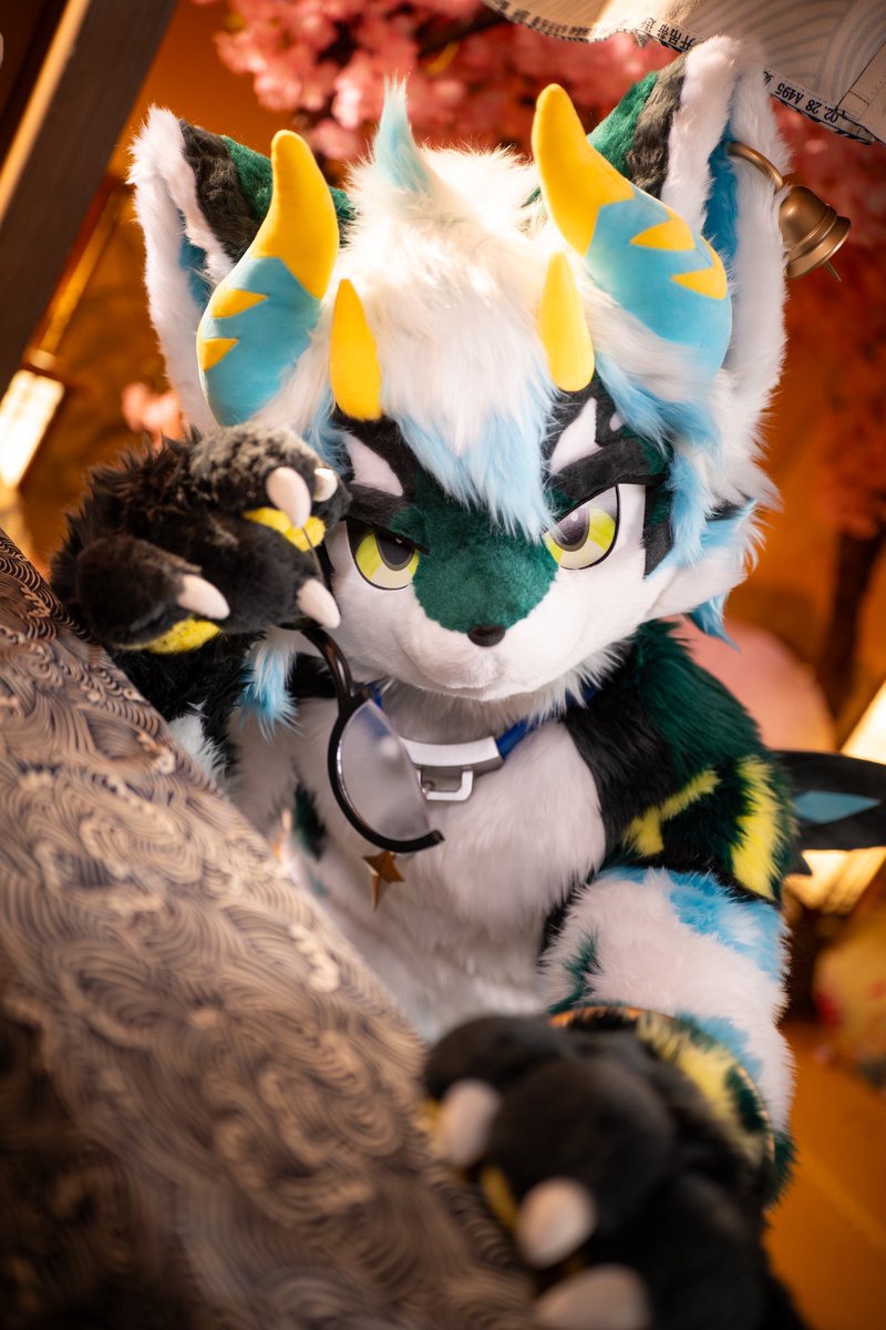 ふあぁ...
フトンの恋しい季節だね

#FursuitFriday 
#furmony
#鸿萌造物