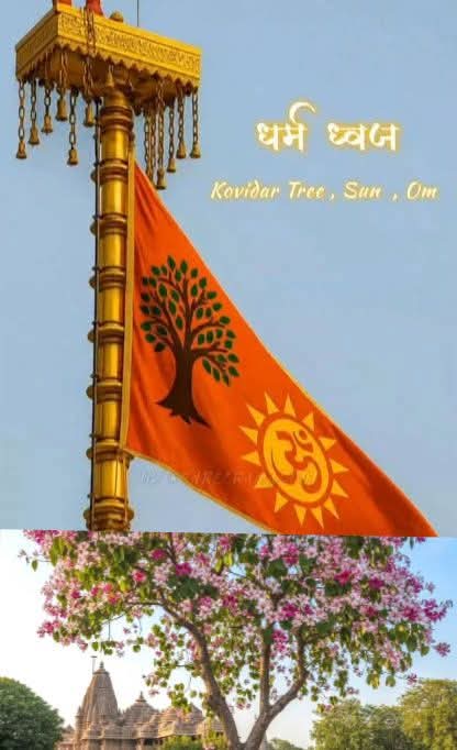 jpsin1's tweet photo. कहते हैं कि महाभारत के युद्ध में अयोध्या का धर्म ध्वज खो गया था।आज जब यह फिर से स्थापित हो गया हैं तब इसपे अंकित उस वृक्ष के बारे में और धर्म ध्वज के बारे में जान लेते हैं।

फिर जब राम मंदिर बन ही रहा था,तब नित्य नए खोज हो रहे थे,इसी दौरान तब ललित मिश्रा नाम के इंडोलाजिस्ट की नजर मेवाड़ राजघराने की एक पुरानी पेंटिंग पर पड़ी,जिसमें हूबहू रामायण के वर्णन में इस ध्वज को बनाया गया था,जिसमें एक सूर्य का चिन्ह,एक #कोविदार का पेड़ अंकित था।

फिर बाल्मीकि रामायण में एक श्लोक है 

एष वै सुमहान् श्रीमान् विटपी सम्��्रकाशते |
विराजत्य् उद्गत स्कन्धः कोविदार ध्वजो रथे ||

वाल्मीकि रामायण के 84वें सर्ग में कोविदार वृक्ष के चिह्न को देखकर  निषादराज गुह अयोध्या की सेना को पहचानते हैं। वहीं 96वें सर्ग के 18वें  श्लोक में यह वर्णित है कि लक्ष्मण जी ने भी कोविदार वृक्ष के चिह्न को  देखकर सेना को पहचाना था। इस चिह्न को देखने के बाद लक्ष्मण कहते हैं कि  भरत को आने दीजिए।

ललित मिश्रा ने इस पेड़ की वनस्पति-शास्त्रीय पहचान सुनिश्चित करने के लिए, Banaras Hindu University के वनस्पतिशास्त्रियों  Gyaneshwar Chaube और Abhishek Dwivedi की मदद ली साथ ही पुराणों में भी इसका वर्णन  ढूंढा। 

और चित्रमयी रामायण जो मेवाड़ राजघराने एक बहुमूल्य और स्वर्ण-चित्रित पांडुलिपि है, जिसे मेवाड़ के महाराणा जगत सिंह प्रथम (1628-52) ने बनवाया था। इसका निर्माण 1649 और 1653 के बीच हुआ था, जिसमें 400 से अधिक चित्र थे और इसका उद्देश्य श्रीराम के जीवन को चित्रित ��रना था, विशेष रूप से मेवाड़ की राज-सत्ता के साथ उनके संबंध को रेखांकित करना।क्योंकि मेवाड़ राजघराने  का सीधा संबंध श्री राम के बेटे कुश से है।

आज यह आरिजनल पांडुलिपि ब्रिटिश संग्रहालय में है और उससे  देख कर बनाए गए पेंटिंग राजघराने के दिवारों पर।

और ये जो कोविदार का वृक्ष है ये दुनिया का पहला हाइब्रिड प्लांट है जिसे कश्यप ऋषि ने मंदार और परिजात के मिश्रित संस्करण से बनाया था।