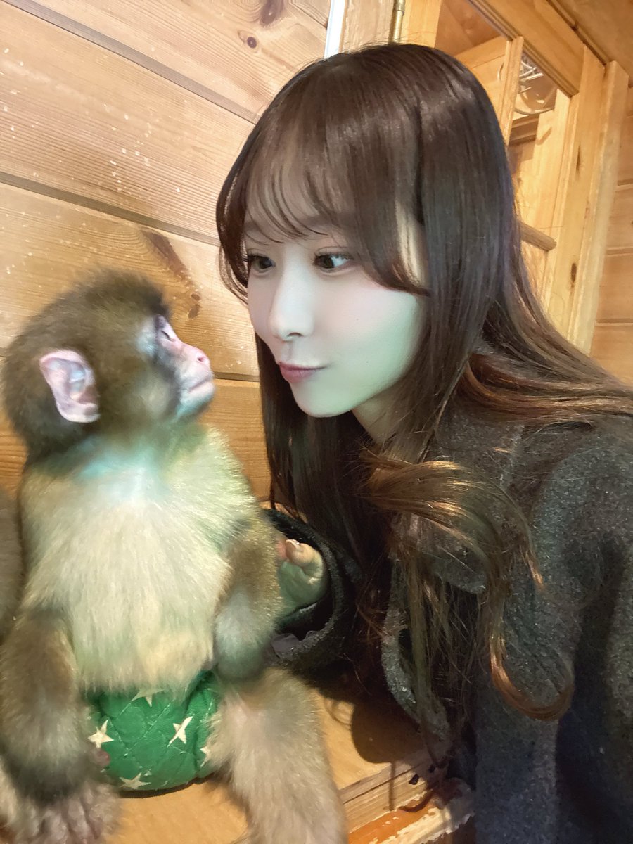 子猿とエンカウント🐒