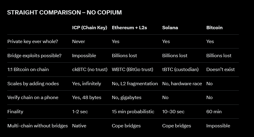 catpirate ∞ tweet media