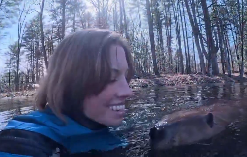 OzBueller's tweet photo. @AMAZlNGNATURE Hang on! Did she ever go underwater or just the camera? https://t.co/FSDNPjXw73