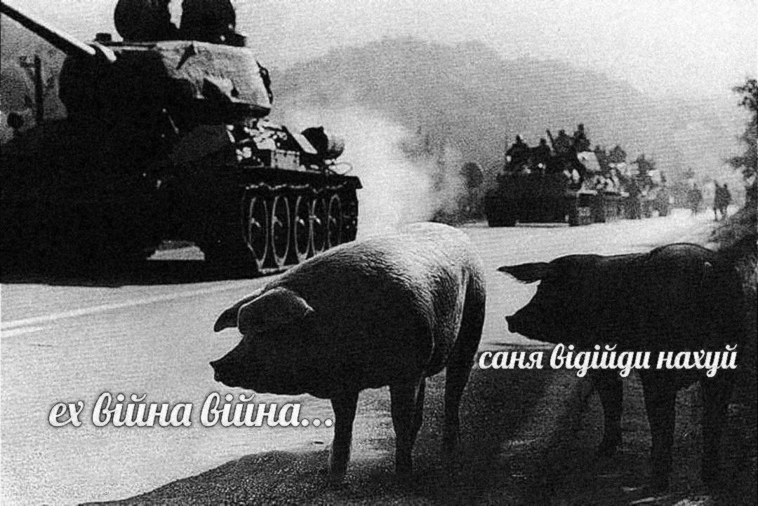 любимий мем