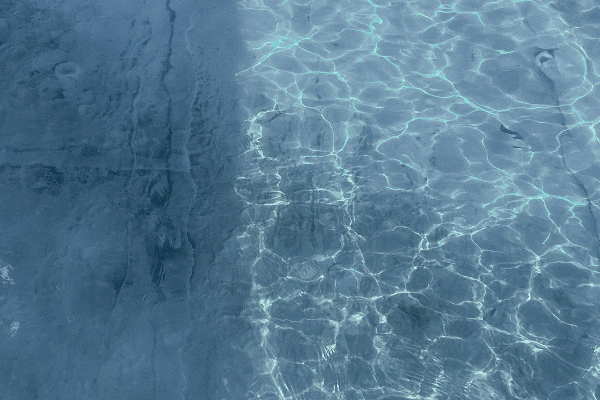 水槽 Nami クリニックの直径1m大型円柱水槽！その後の様子・たくさんの