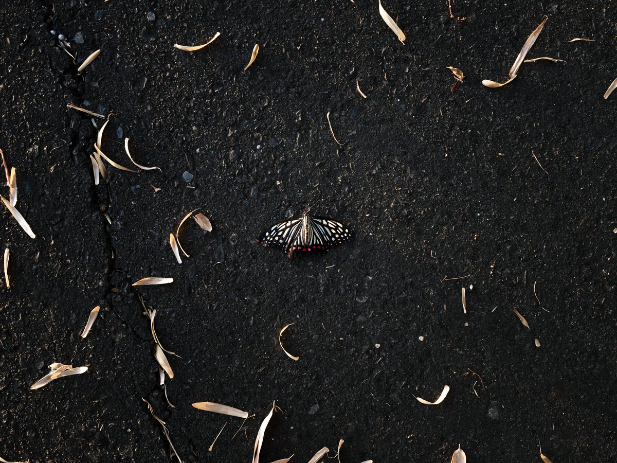 「　日々の一滴　」