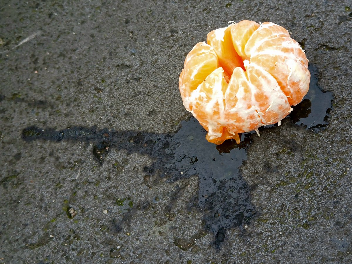 Tori97832288's tweet image. #AlphabetChallenge #WeekVforVowels
Orange