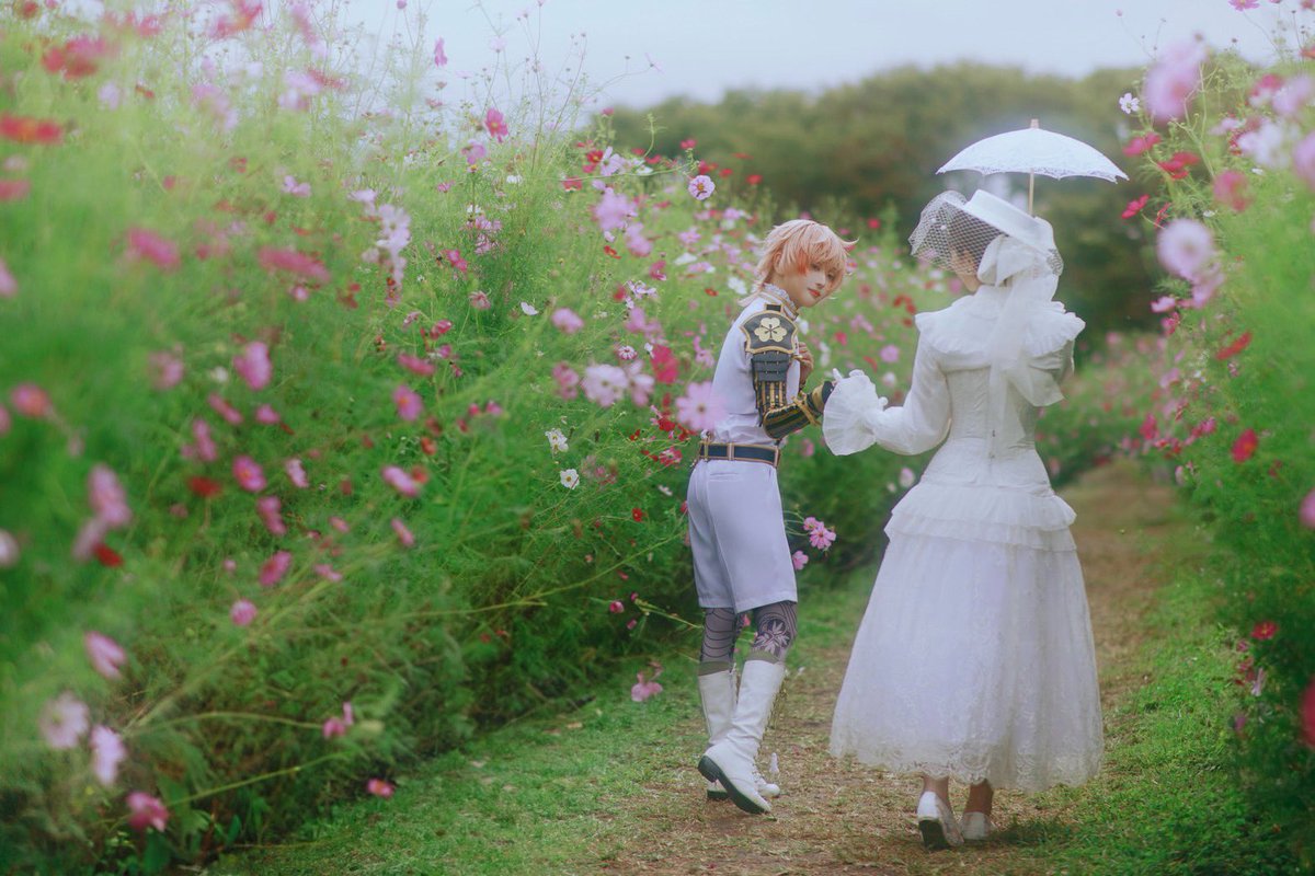 nisyK99's tweet photo. cos/刀剣乱舞 刀さに

秋桜

物吉貞宗：@rutata2_tata
審神者：@r_Ryo__ https://t.co/AcpsfS6eWG