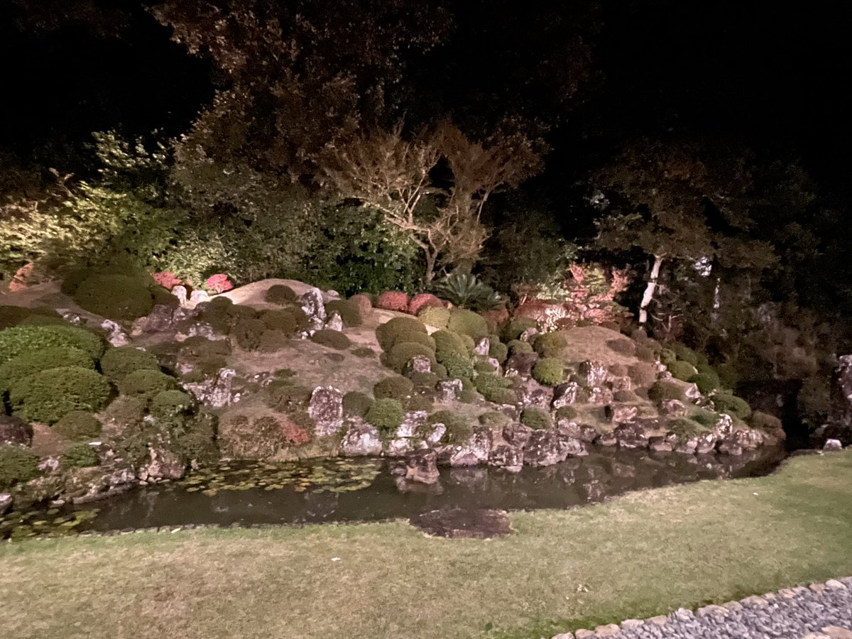 Kemonokai's tweet image. 色々な角度から庭園の様子をパシャリ
どこから見ても美しいですね

寺の拝観できる場所では資料展示のコーナーもあり、井伊直政の赤備えの鎧などもありました

ちなみにそこは写真撮影禁止だったので残念ながら画像なしです、すいません
#龍潭寺