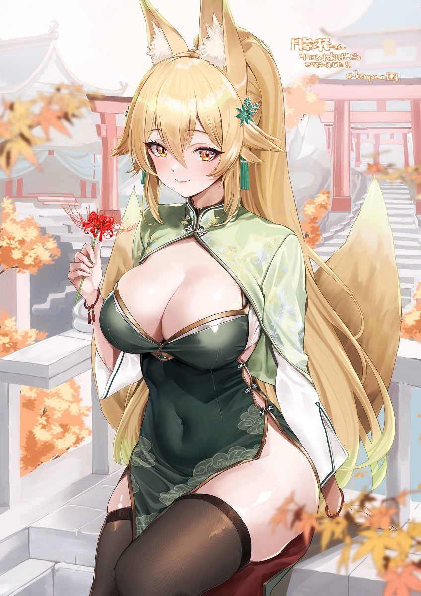 #いいニーハイの日 