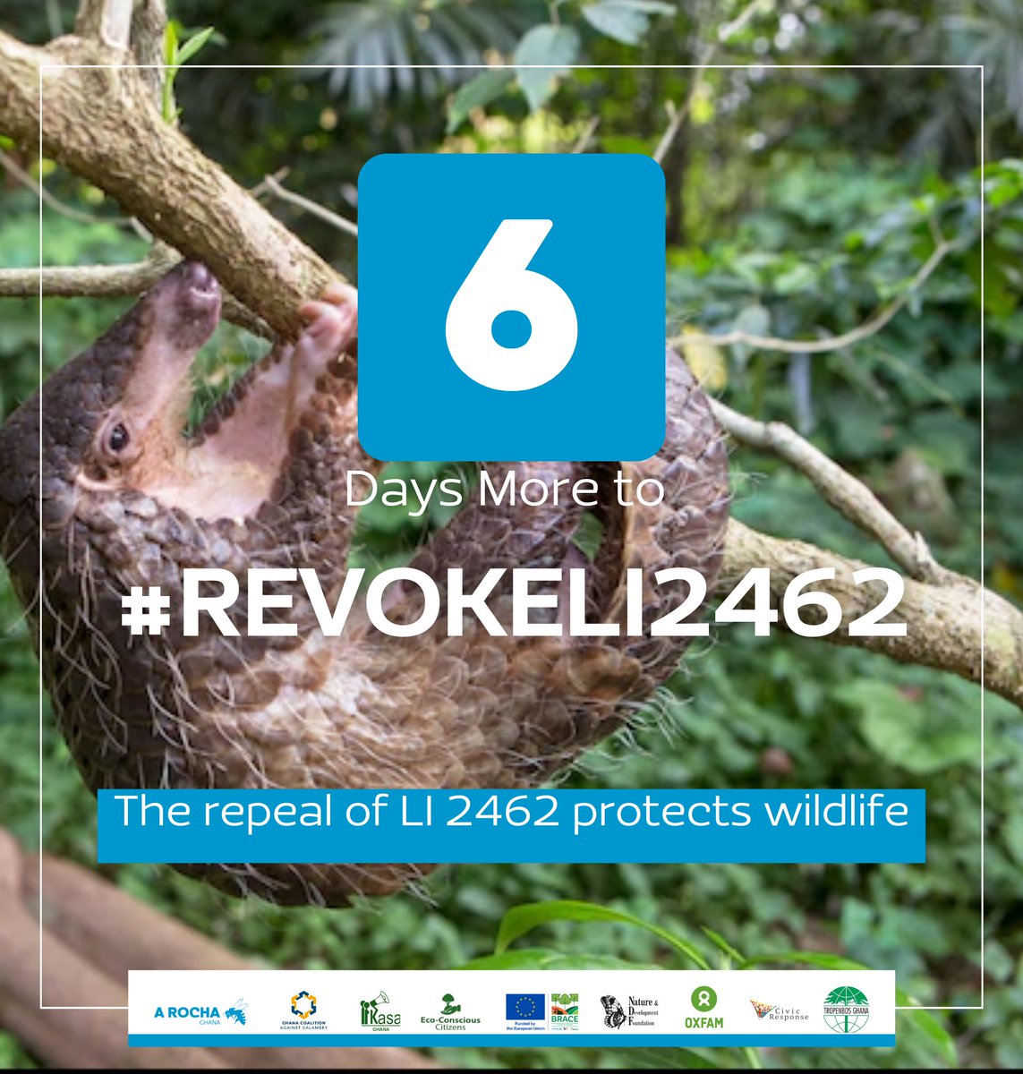 A Rocha Ghana tweet media