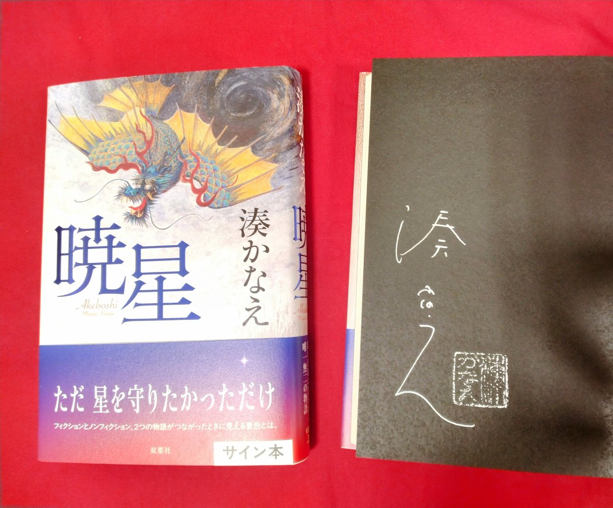 文芸】「ただ、星を守りたかっただけ――」 ノンフィクションと