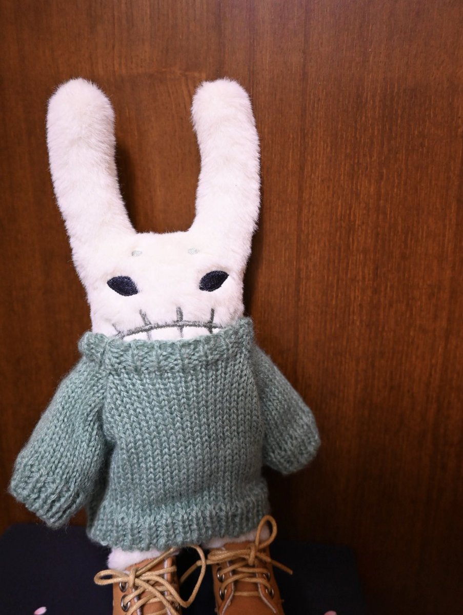 うちの #ヘンナコ ちゃん❤️ 念願叶ってお迎えできた時に投稿した写真