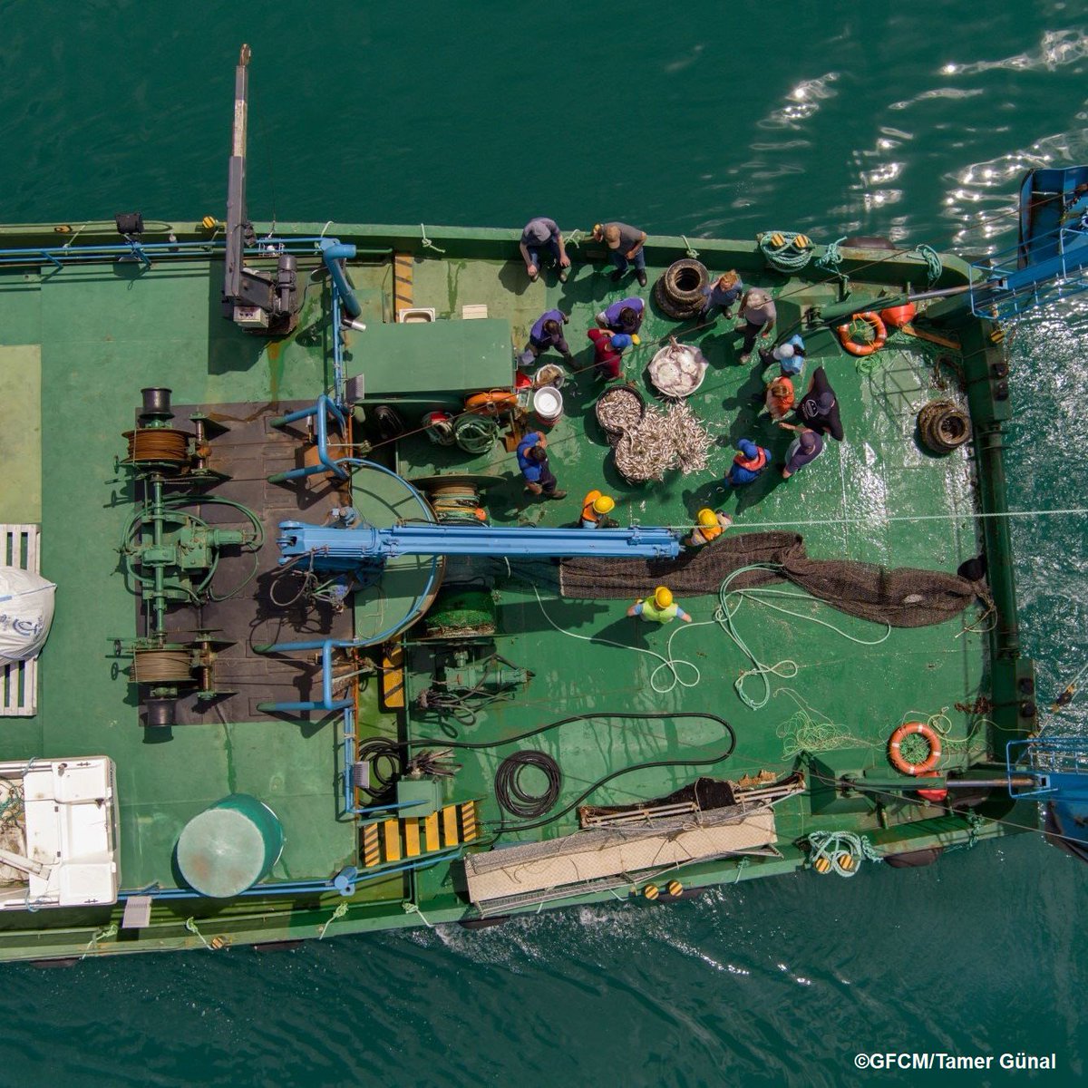 Overfishing in the Med &amp; Black Sea is at its lowest in 10 yrs, &amp; aquaculture provides >45% of aquatic food, reports #SoMFi2025 by the <a href="/UN_FAO_GFCM/">General Fisheries Commission for the Mediterranean</a>.

But challenges remain:

🔹52% of stocks still overfished
🔹Aquaculture must grow responsibly

Read more 👉 fao.org/newsroom/detai…