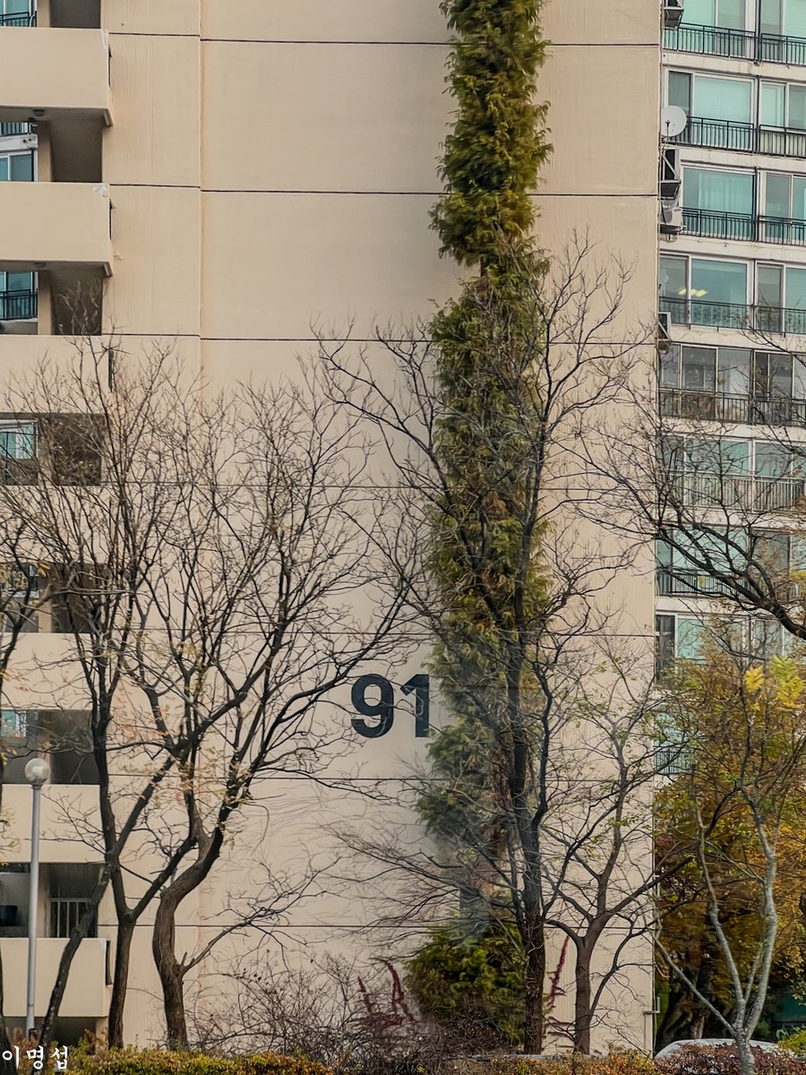 이명섭 tweet media