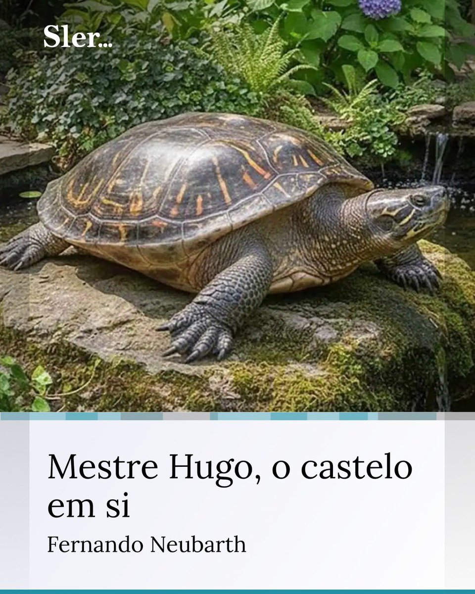 Minha crônica da semana na Sler. 
sler.com.br/mestre-hugo-o-…